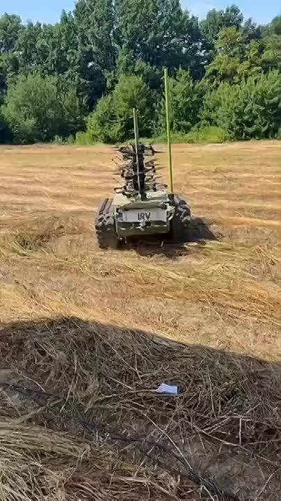 ��������� ���������: �� ������� ����������� �����-������������� (��������) ��� �������������� ������ ���������� ������� � ���������������� ��������������