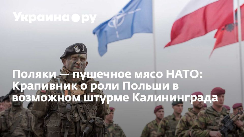 ������ � �������� ���� ����: ��������� � ���� ������ � ��������� ������ ������������