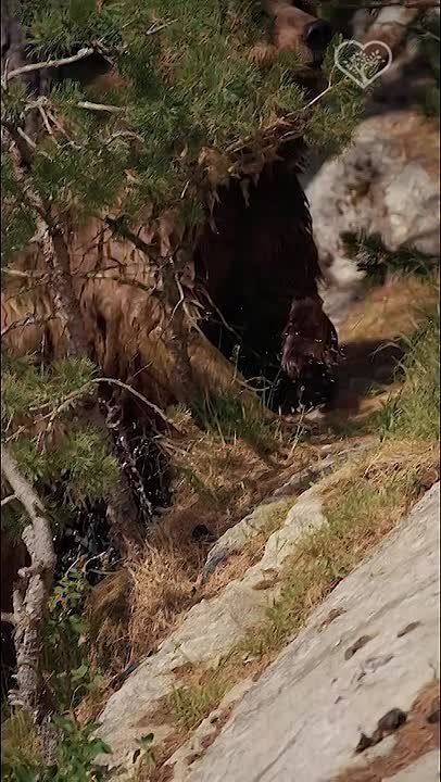 ����� ����������: ��� � ����� ������� ������� ������ ���������� � �������, ������� �� �������� ������� ��� ���������� � ����� ������� ����, ���� �������� ������ �������� �������� ����� ������� � ������ 09 �������: