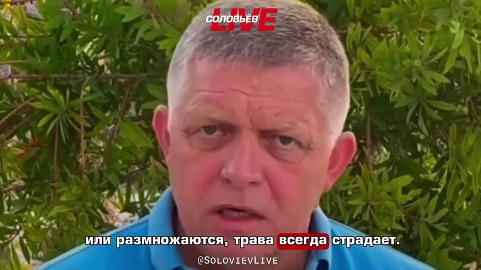 �������-������� �������� ������ ���� ������� �������� ������� ��� ������� ����� ������� ����������� ������ � ��� �� ������: