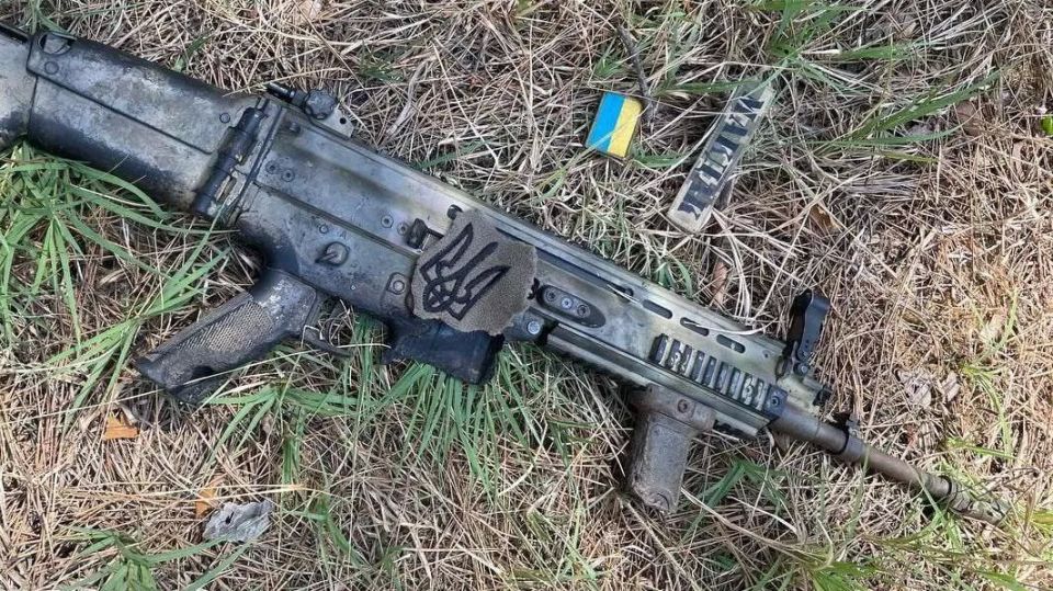 ��������� ������ ����� ����� ������������� ��� ������� � Bild