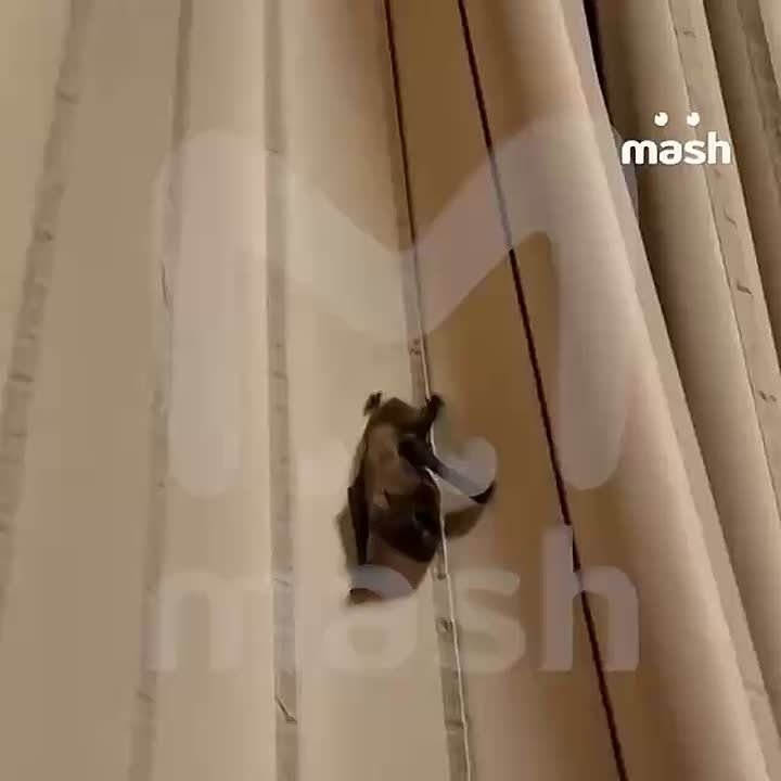 ������� ���� �� ���� �������� � ���� ������� � �� ��� ����� ������� ����� � ��� ���� ������