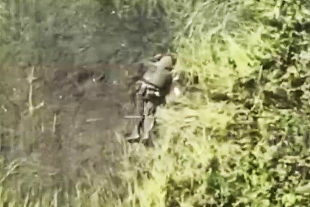 Усеянные телами бойцов ВСУ поля в Сумской области сняли на видео