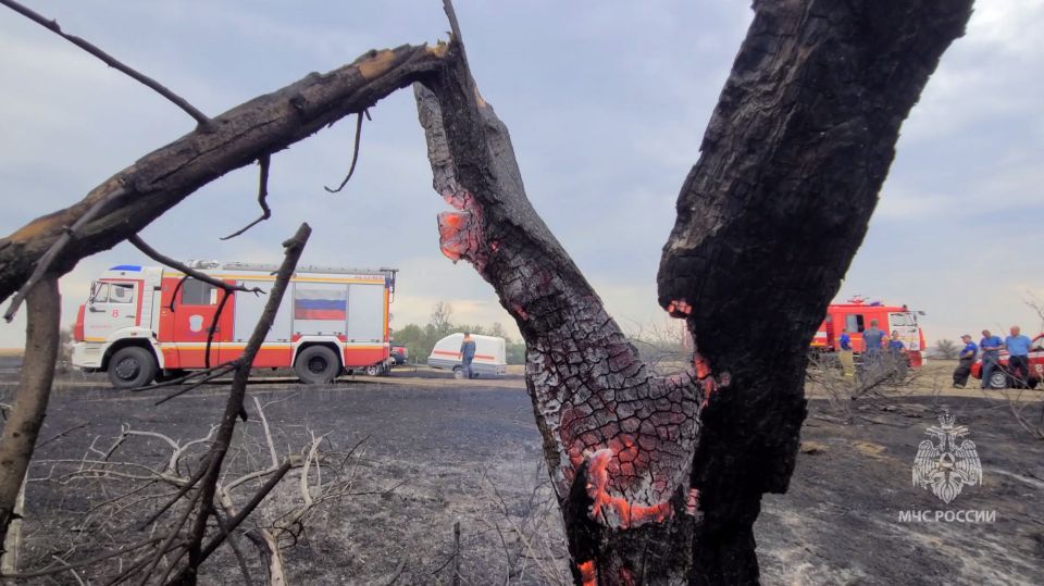 Заявления Трампа и пожар на 450 гектарах в Крыму – главное за день