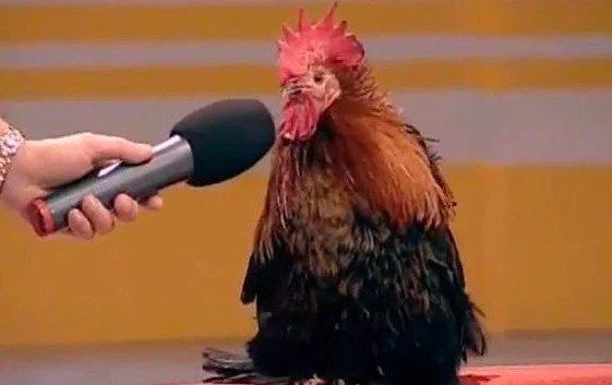 ВСУшник петушится и негодует: За два-три месяца можем победить Россию, но воевать никто не хочет