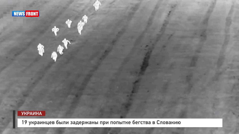 19 украинцев были задержаны при попытке бегства в Словакию