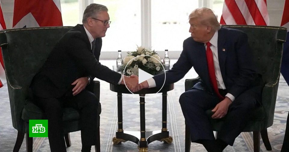 Лидеры Европы готовятся к неприятному для них разговору Путина и Трампа