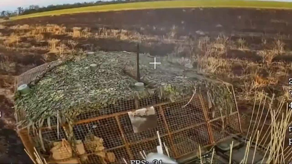 ������� ���������: ����������� ���������� ����� �� ���� ����� ������ ����� �������� *����������