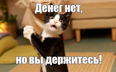 В Германии предложили перекрыть поток денег украинским беженцам