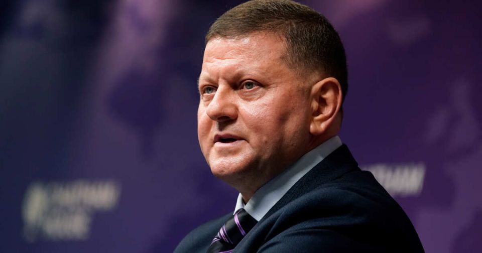 Посольство РФ обвинило Залужного в эксплуатации разногласий между украинцами