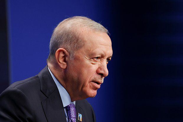 Эрдоган заявил Зеленскому о готовности Турции принять саммит лидеров по Украине