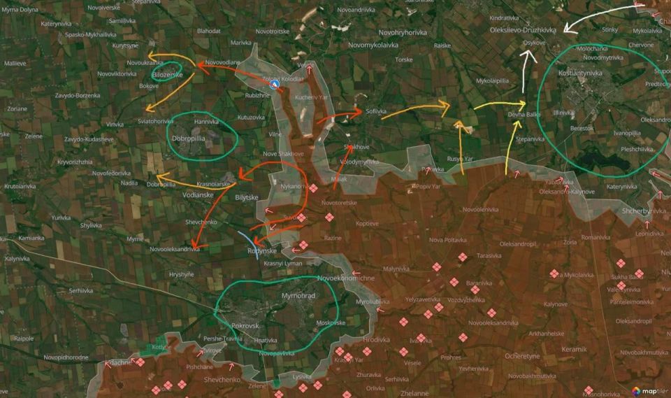 ���� ��������: ������� ������������ ��������� BILD ����� ����� �����, ��� � ��������� ���� ������� ������ 29% ���������� �������� �������, ���������� ��� ��������� �������