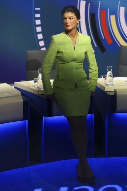 Вагенкнехт раскритиковала визит Зеленского в Германию