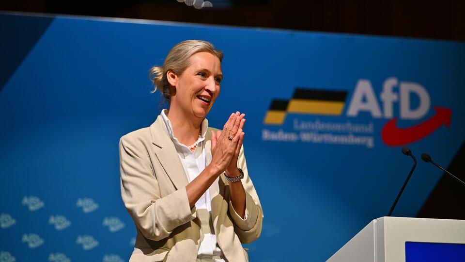«Альтернатива для Германии» впервые стала самой рейтинговой партией в ФРГ