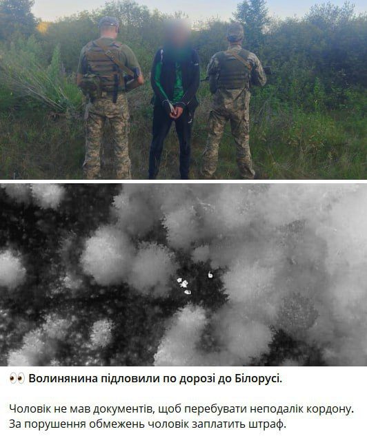 Украинские пограничники поймали опасного преступника: он слишком близко подошёл к границе с Белоруссией