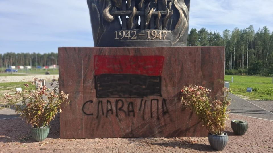 В Польше задержали несовершеннолетнего украинского нациста