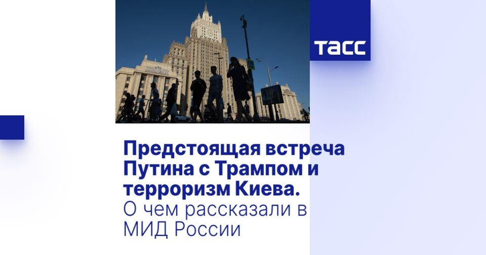 Предстоящая встреча Путина с Трампом и терроризм Киева. О чем рассказали в МИД России