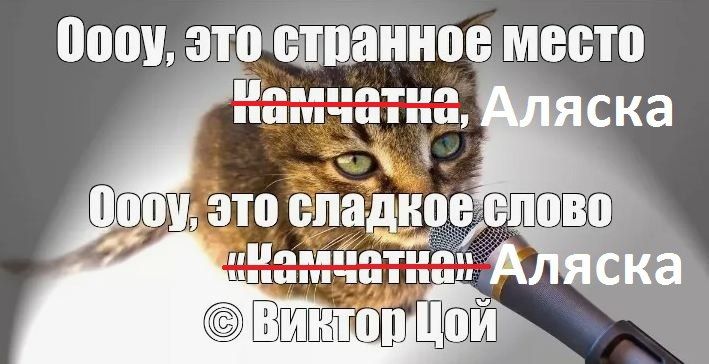 Накануне исторической встречи: что пишут мировые СМИ