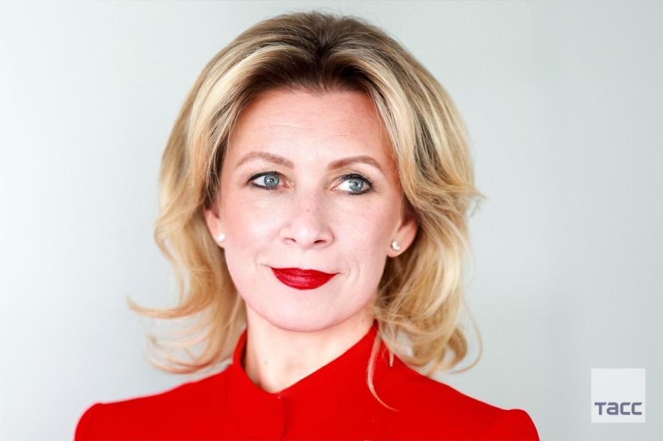 Мария Захарова с иронией прокомментировала видео с лосем, пытавшимся попасть на площадку переговоров РФ и США, отметив, что это "уже не знающий, что придумать" Зеленский