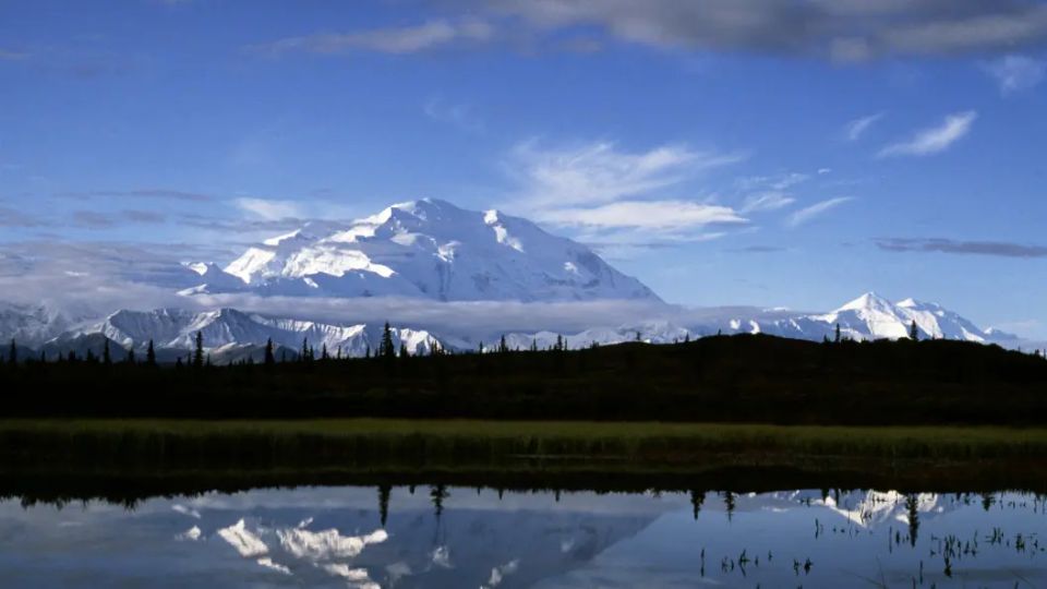Точно не наш агент? Внезапный гость замечен близ базы Элмендорф-Ричардсон, где встретятся Путин и Трамп