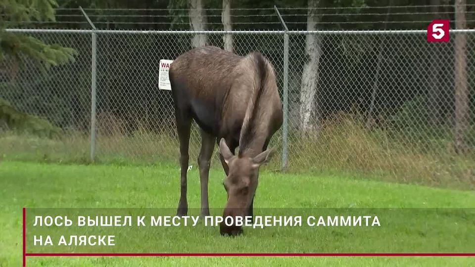 ������ ��������: ���� ����� ������������, ��� � ���� ����, ������� ����� �� ����� ������� ������ � ������, �������� ���������