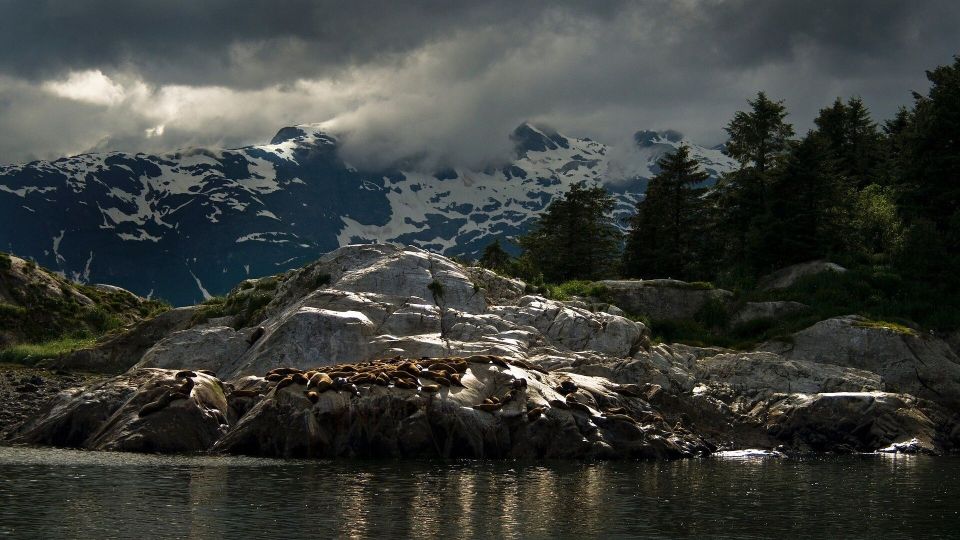 Геополитическая сделка века: Доронин объяснил, почему передача Аляски США была неизбежной