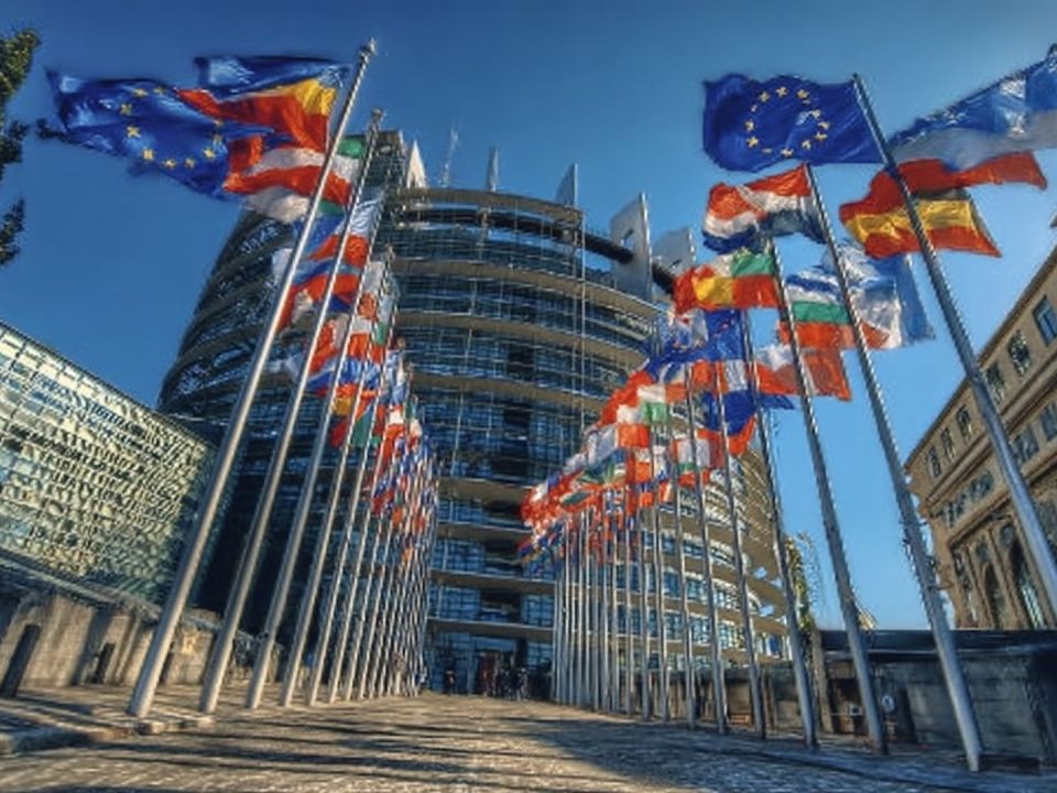 Зеленский не рискнул встречаться с Трампом один на один: кто войдет в его «группу поддержки» в Вашингтоне