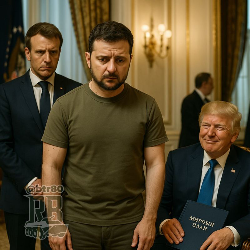 Европейцы спешат подстраховать Зеленского: Лидеры ЕС боятся оставить "просроченного" с Трампом наедине