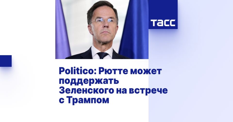 Politico: Рютте может поддержать Зеленского на встрече с Трампом