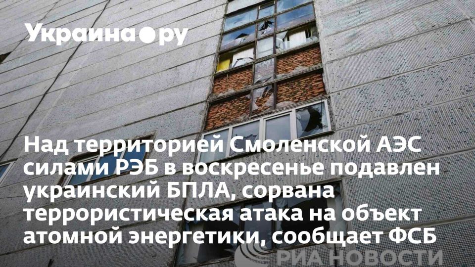 Над территорией Смоленской АЭС силами РЭБ в воскресенье подавлен украинский БПЛА, сорвана террористическая атака на объект атомной энергетики, сообщает ФСБ