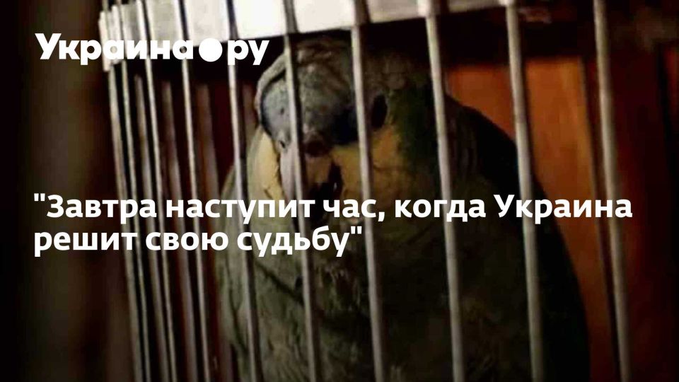 "Завтра наступит час, когда Украина решит свою судьбу"