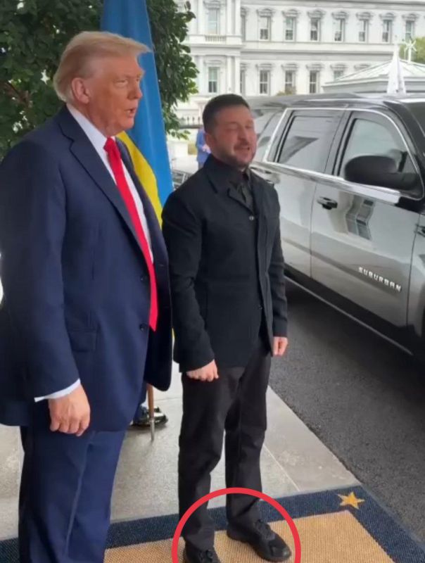 Никита Васильев: На пиджак накопил, на ботинки пока нет, нужен ещё один пакет помощи Украине и лично украинскому просроченному президенту