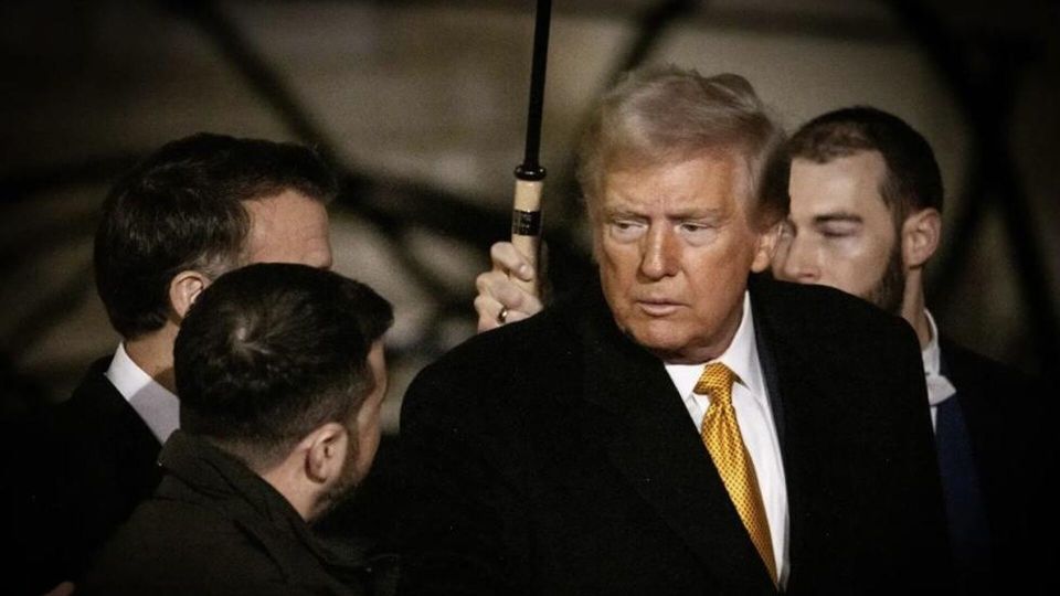 Измельчание львов: Зеленский готовится говорить с Трампом с позиции силы