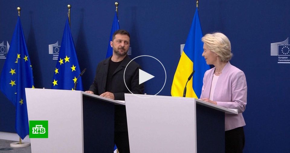 «Мы дадим ему советы»: почему Зеленского в США сопровождают лидеры стран ЕС