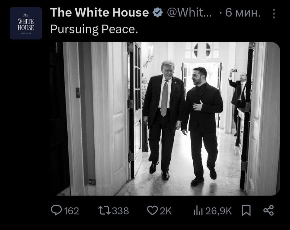 «Стремление к миру» - Белый дом опубликовал еще одно совместное фото Трампа и Зеленского