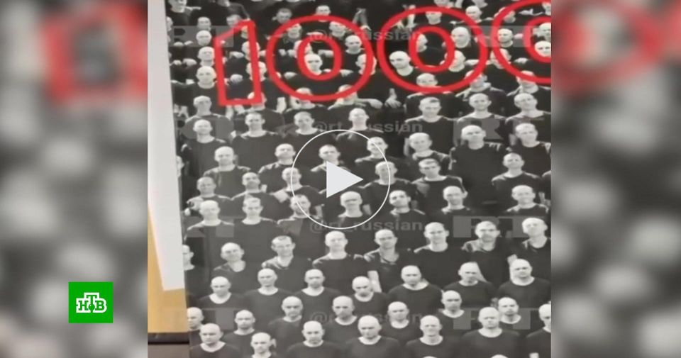 Трамп: Россия может немедленно освободить тысячу украинских военнопленных