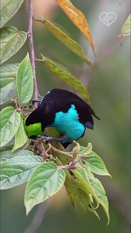  :     ,        ,            19 :