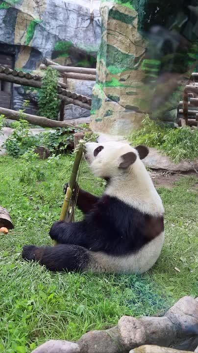 ����� ����������: ������� ����� ������ � ������ �� "������������", ��� �������� ����� "�������" ���������� � ������������� ������� �� �������, �������� �� ���������� �������� ������ � ��� � ���������� ����� � �������� ������...