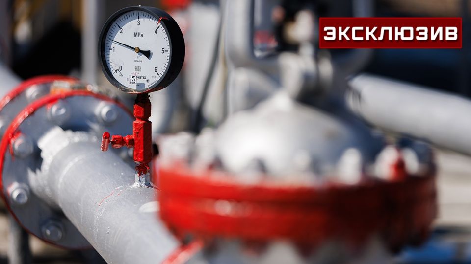 Эксперт объяснил, почему Киев идет на обострение отношений с Венгрией