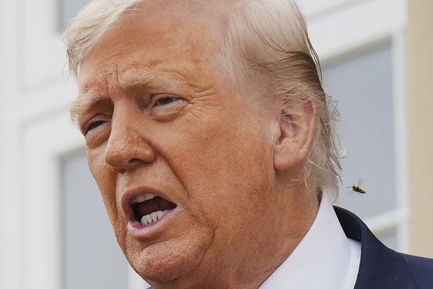 �����: ���� � �� ���� ����� � ��������� ������ ���� � ����� ������