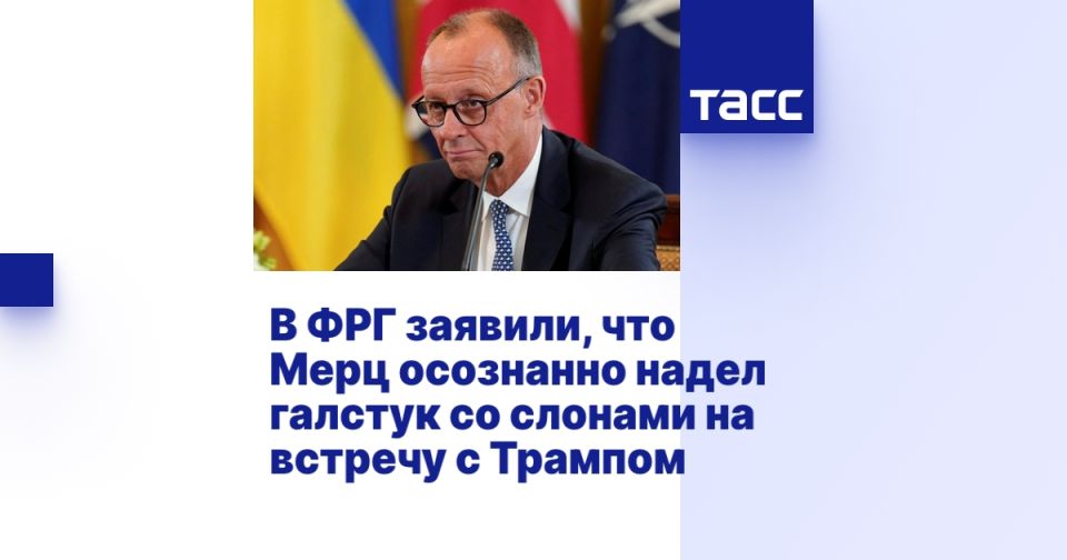 В ФРГ заявили, что Мерц осознанно надел галстук со слонами на встречу с Трампом