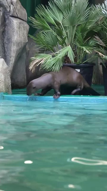 ����� ����������: ��� ��������� �������� �������� ������������ � �����, ������ ����� �� ���� � ������, ������� ����� �� ������������ "������" � ������� ����������� � �������� ������ 20 �������: