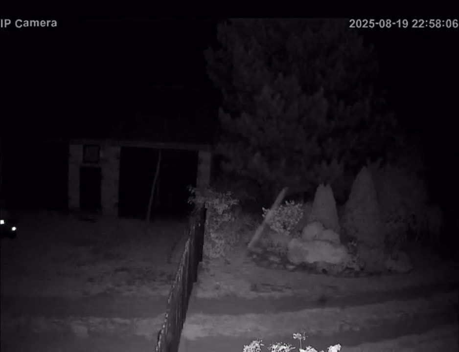 Российская "Герань-2" пролетела 100 км вглубь Польши и взорвалась в поле возле деревни Осины Люблинского воеводства, в 40 км от Варшавы — Rzeczpospolita