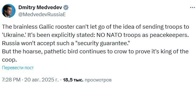 «Никаких натовских миротворцев!» - Медведев отверг идею гарантий безопасности от стран НАТО