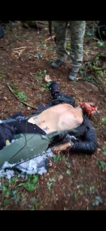 Появились подробности от ФСБ по поводу ДРГ, которую приземлили в Брянской области, фото сбрасывал товарищ Старше Эдды