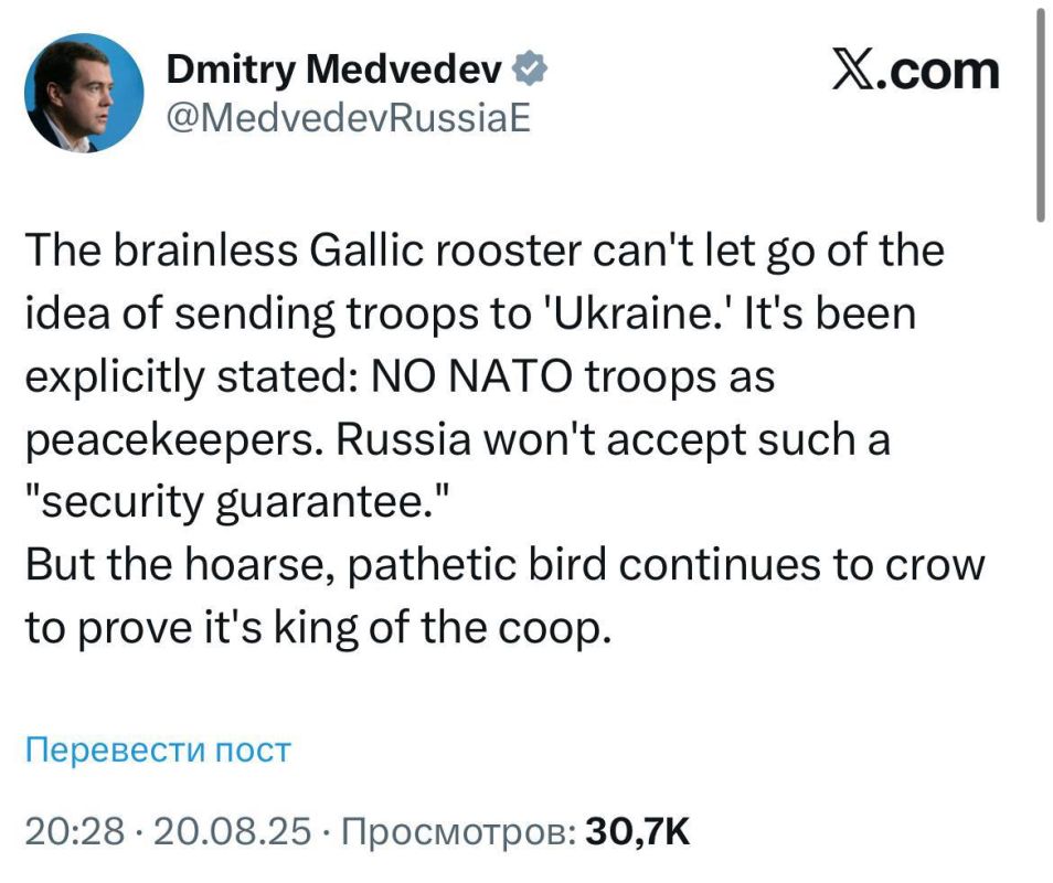 Сергей Мардан: Третий президент России высекает в соцсети Илона Маска граните: