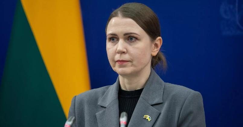 В Литве подсчитали ресурсы для возможной поддержки Украины