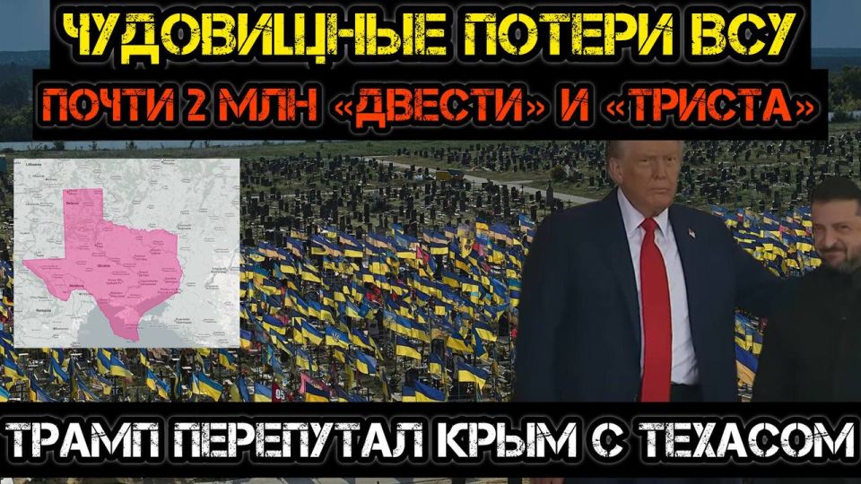 Тамир Шейх и Андрей Пономарь