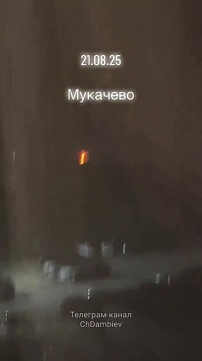 ����� ������ ������� ������������� ���� �� �������� �������