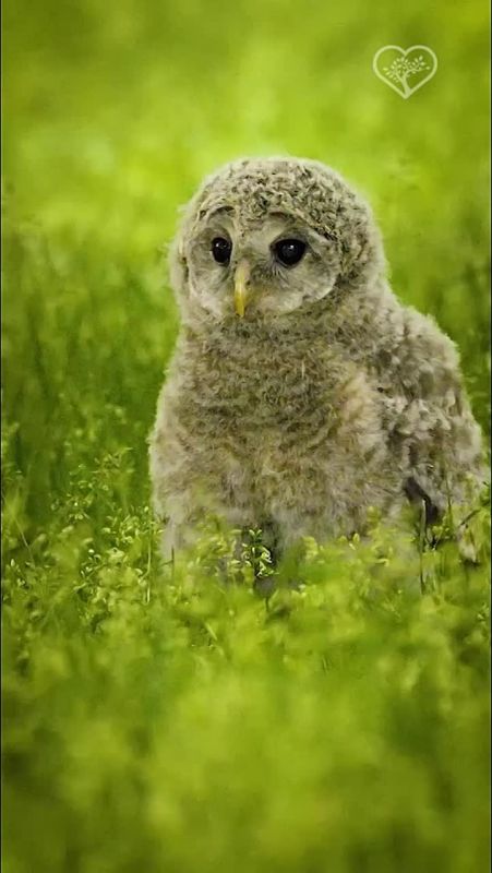 ����� ����������: � ����� ������ �� ������ �������� ��������� � ������ ����������� � ��, ��� ������ ��������� ��� ���������� �����������, "������� ������" ������� � ������� ������������ ������� � ������ � �������� ������ 21...